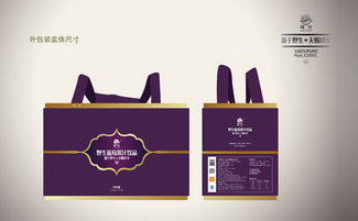 莓氏野生蓝莓果汁饮品 结合灵智飞扬的品牌设计与全方位服务