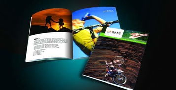 广州印刷设计与食品广告宣传单 价格、厂家、图片与软件开发全指南